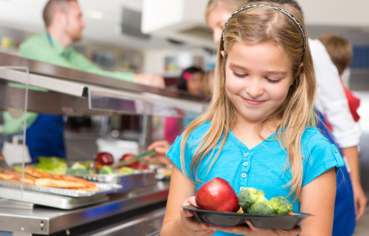 catering comedor escuelas