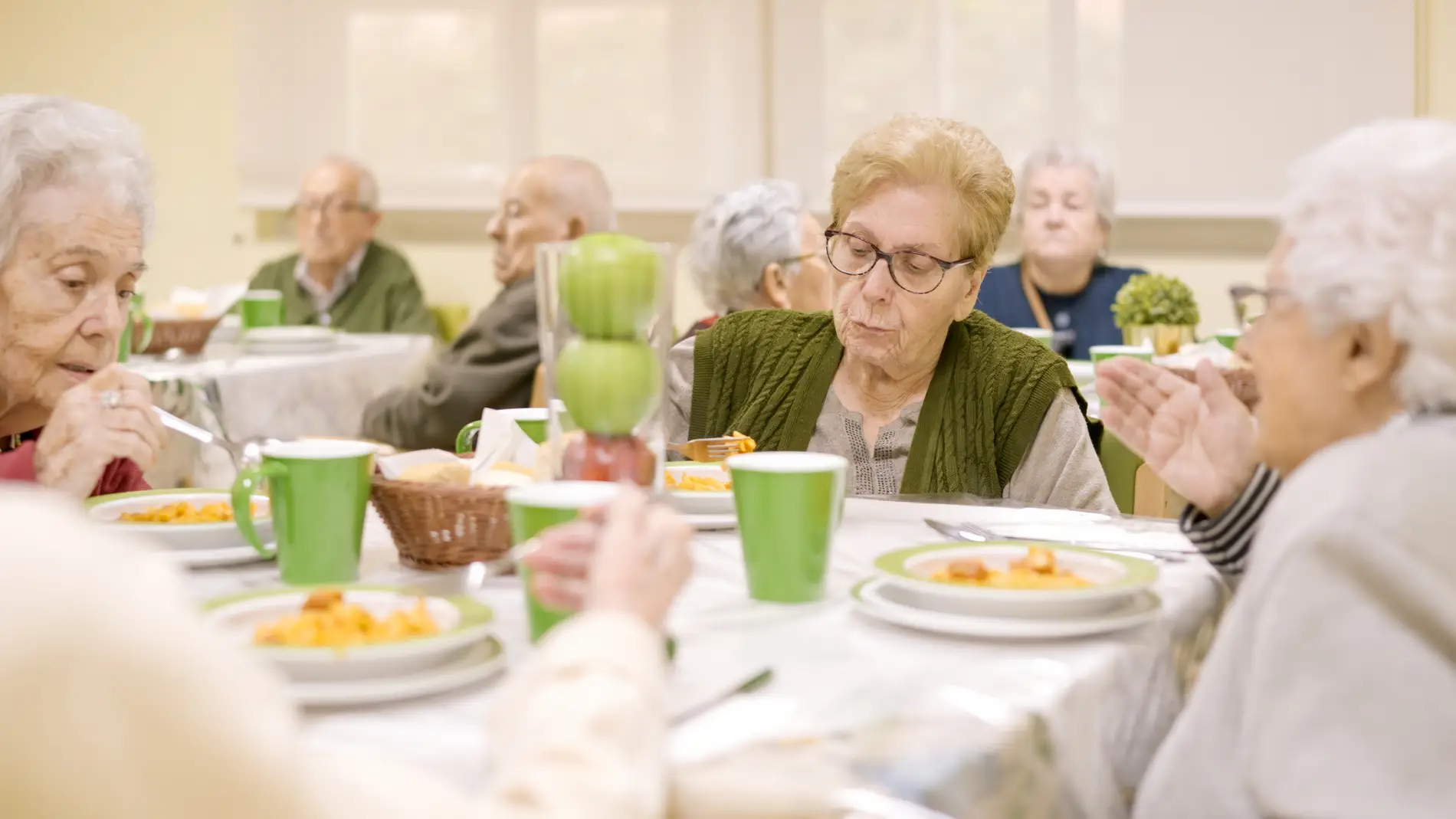 Comida para Residencias